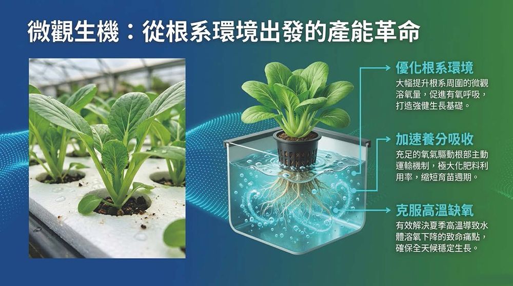 水耕從根系環境出發的產能 水耕從根系環境出發的產能